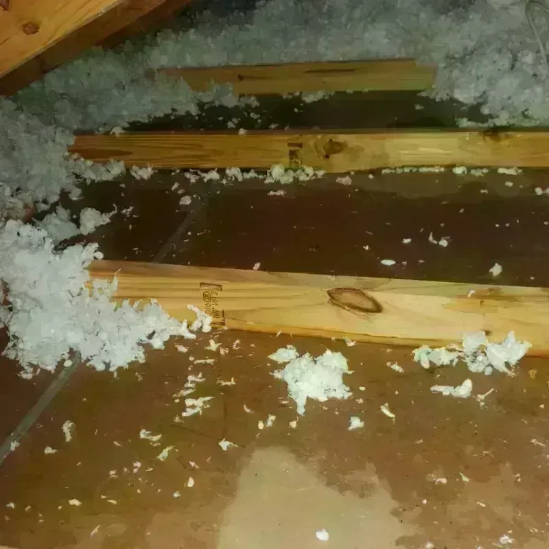 Attic Water Damage in Douglasville, GA