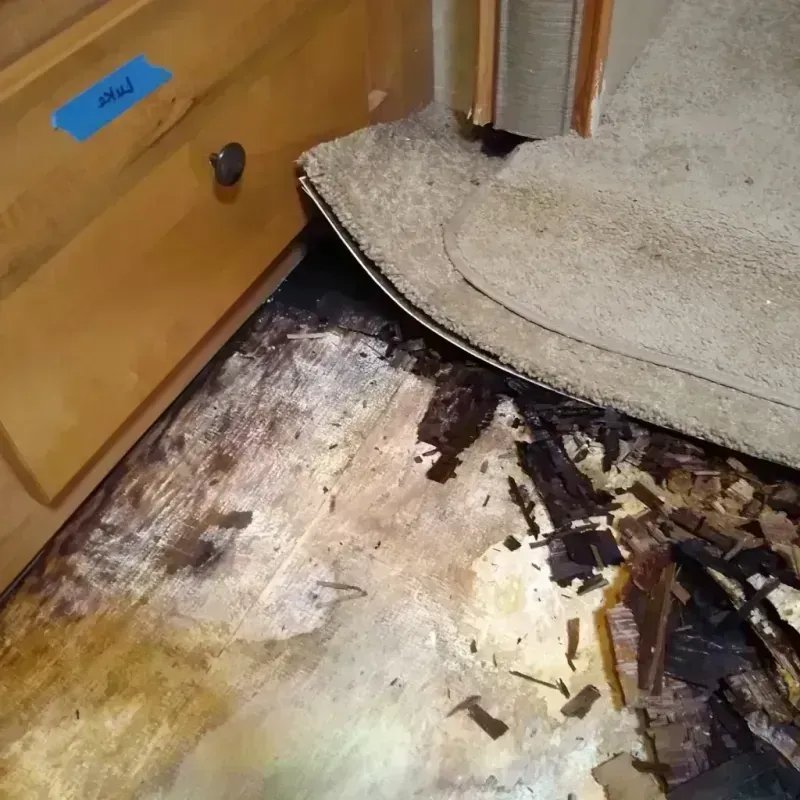 Wood Floor Water Damage in Douglasville, GA